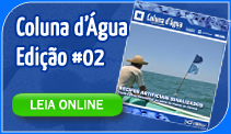 Acesse o Coluna d